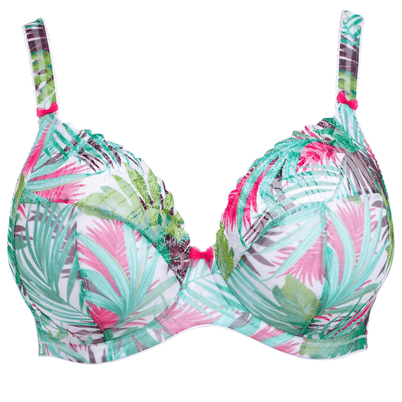 Kelly Plunge BH
