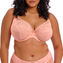 Elomi Lingerie Kendra Plunge BH Rose Bud