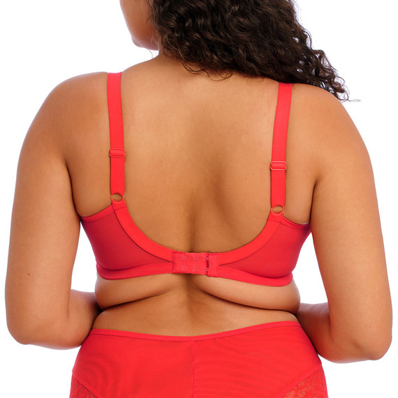 Elomi Kendra Plunge BH Cherry