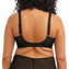 Elomi Dessous Kintai Plunge BH Black