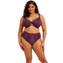 Elomi Kintai Plunge BH Blackberry