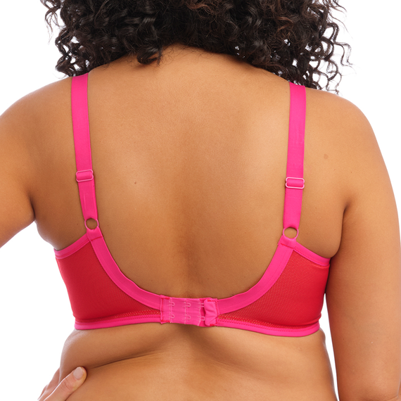 Elomi Lingerie Kintai Plunge BH Cha Cha