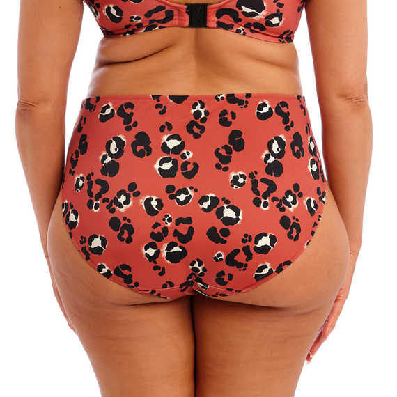 Elomi Kotiya Bikinibroekje Terracotta