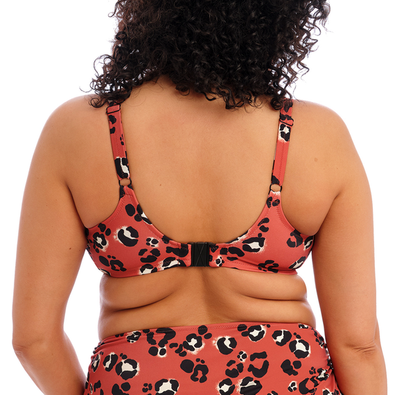 Elomi Badmode Kotiya Bikinitop Terracotta