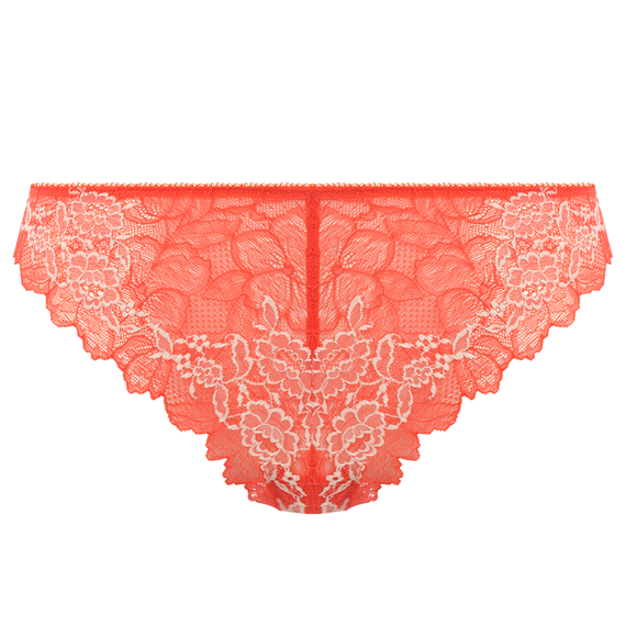Lace Perfection String