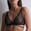 Aubade L'Indomptable Plunge BH Afterdark
