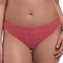 Freya Love Note Brazilian Slip Rose