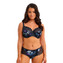 Fantasie Lucia Short Midnight