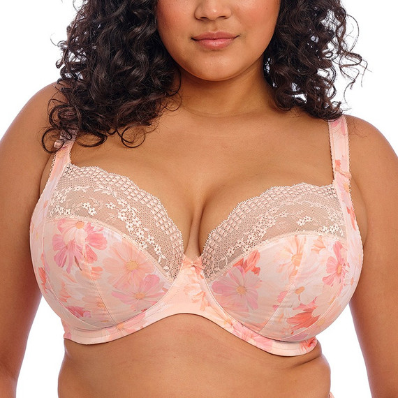 Elomi Lucie Plunge BH Cosmos