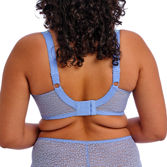Elomi Dessous Lucie Plunge BH Cornflower