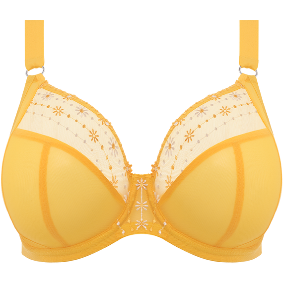 Matilda Plunge BH