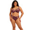 Elomi Matilda String Sugarplum