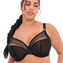 Elomi Matilda Plunge BH Black Star