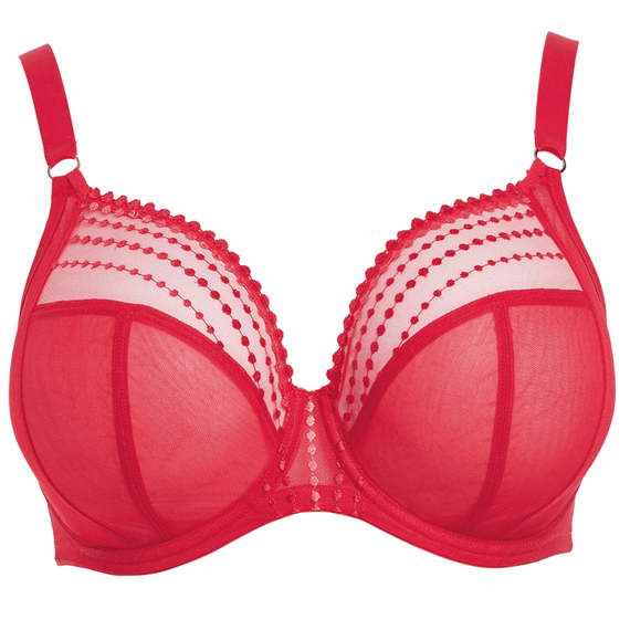 Matilda Plunge BH