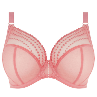 Matilda Plunge BH