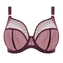 Elomi Matilda Plunge BH Wine Diamond