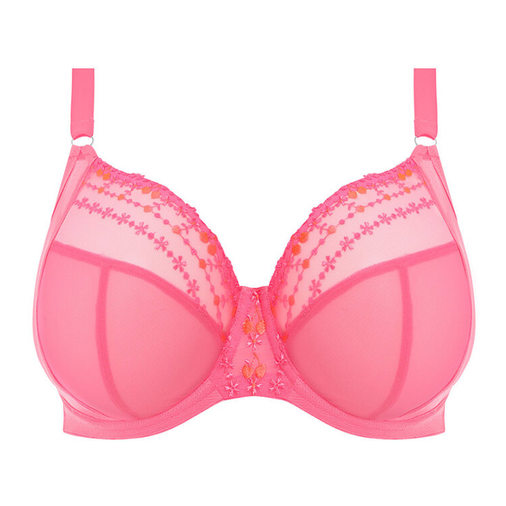 Elomi Lingerie Matilda Plunge Wild Cherry