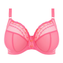 Elomi Lingerie Matilda Plunge Wild Cherry