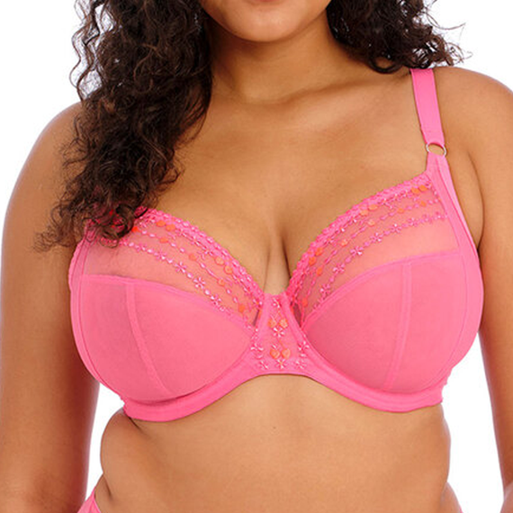 Elomi Lingerie Matilda Plunge Wild Cherry