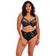 Elomi Matilda Plunge BH Black Dot