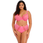 Elomi Lingerie Matilda Plunge Wild Cherry