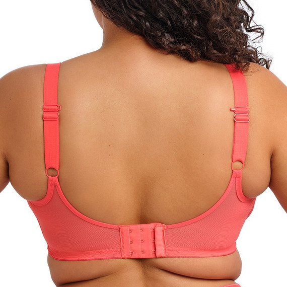 Elomi Matilda Plunge BH Sunset