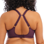 Elomi Matilda Plunge BH Wine Diamond