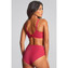 Panache Meadow Plunge BH Raspberry