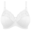 Elomi Lingerie Morgan Bügel BH White