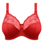 Elomi Morgan Bügel BH Haute Red