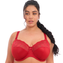Elomi Morgan Bügel BH Haute Red