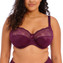 Elomi Morgan Full Cup BH Blackberry