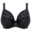 Elomi Nerina Plunge BH Black