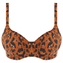Freya Swim Roar Instinct Padded Bikinitop Leopard
