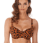 Freya Swim Roar Instinct Padded Bikinitop Leopard