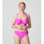 PrimaDonna Twist Palermo Rioslip Cactus Flower
