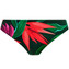 Fantasie Swim Pichola Bikinibroekje Mangrove