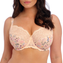 Fantasie Dessous Pippa Side Support BH Summer Garden