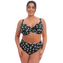 Elomi Bademode Plain Sailing Bikini Oberteil Black Daisy