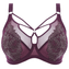 Elomi Eugenie Plunge BH Gilded Berry