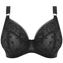 Elomi Roxanne Plunge BH Black