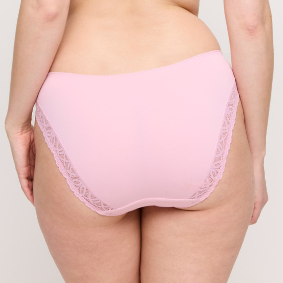 Primadonna Salerno Rioslip Spring Rose
