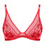 Aubade Rules Of Attraction Plunge BH Flame
