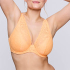 Rupi Plunge BH