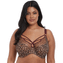 Elomi Sachi Plunge BH Leopard Print