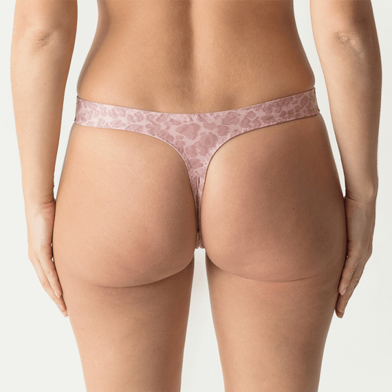 PrimaDonna Twist Safari String Pale Mauve