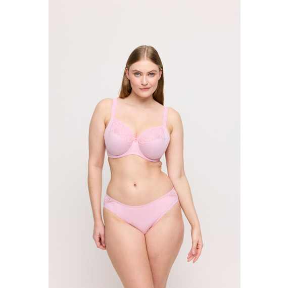 Primadonna Salerno Rioslip Spring Rose