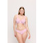 Primadonna Salerno Rioslip Spring Rose