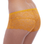 Freya Expression Short California Gold
