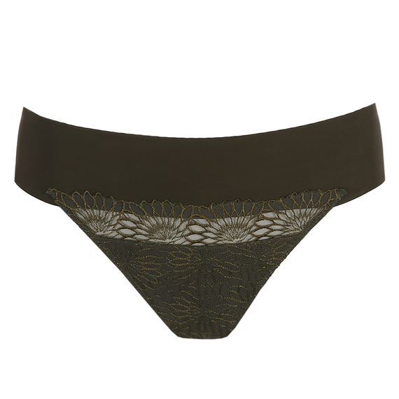 Sophora String